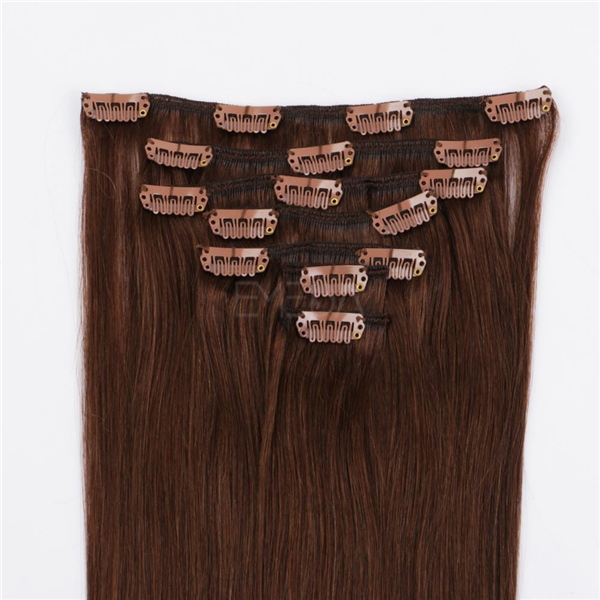 Clip In Human Hair Extensions Black WJ071